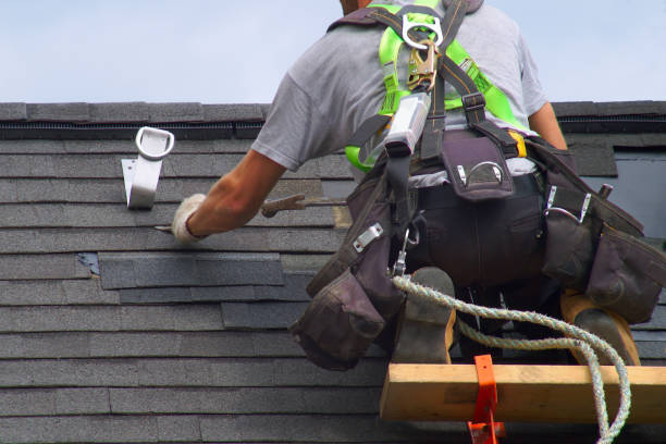 Best Gutter Installation and Roofing  in Wliamsvle, IL