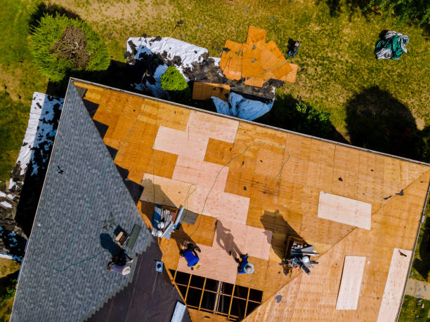 Best Roof Gutter Cleaning  in Wliamsvle, IL