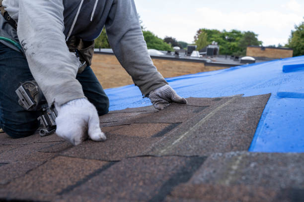 Best Residential Roofing Contractor  in Wliamsvle, IL