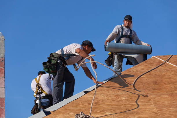 Best Emergency Roof Repair  in Wliamsvle, IL