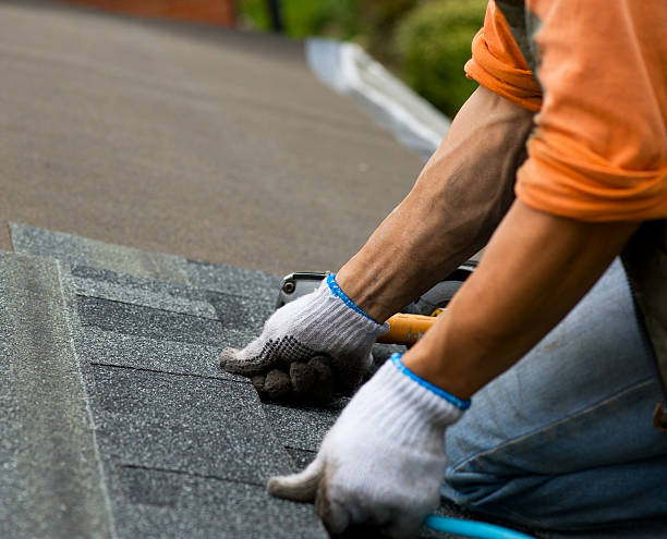 Best Roof Waterproofing Services  in Wliamsvle, IL