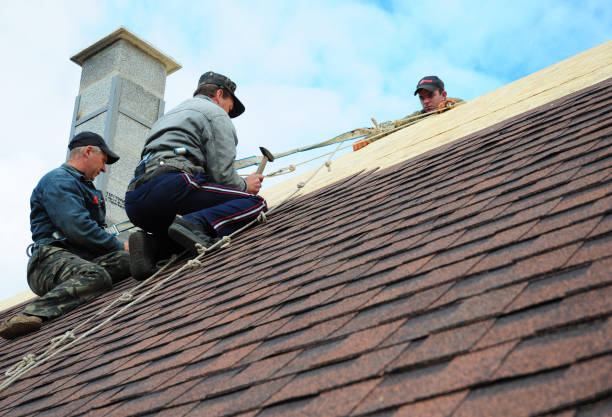 Best Roof Gutter Cleaning  in Wliamsvle, IL